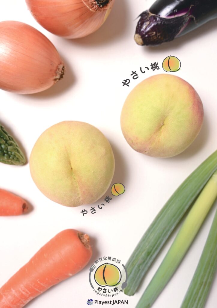 （株）Playest JAPAN