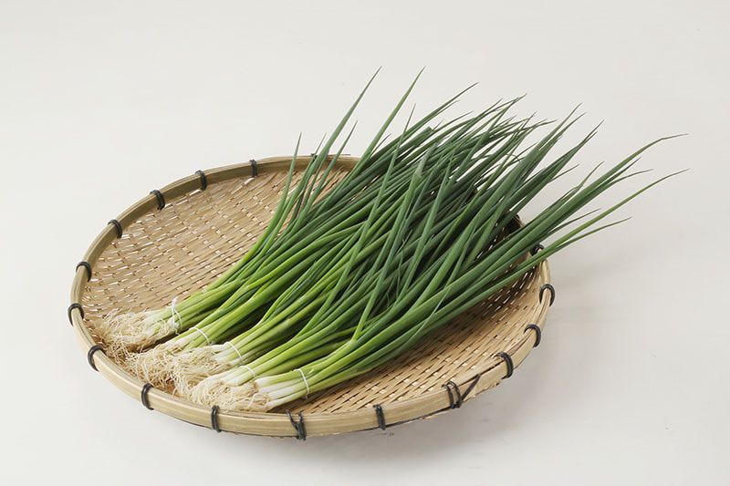 朝倉物産（株）