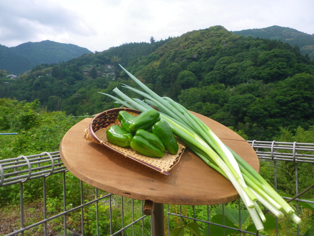 （株） 大豊ゆとりファーム