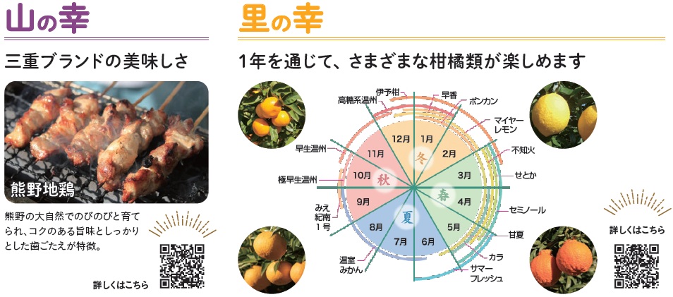 東紀州の山の幸
