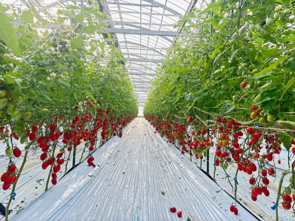 株式会社MATSUKI GARDENING