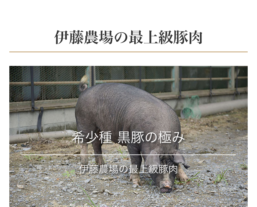 純粋黒豚