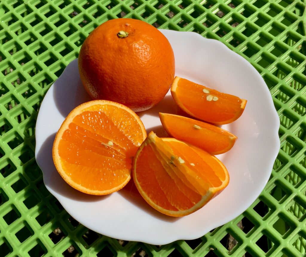 岡農園