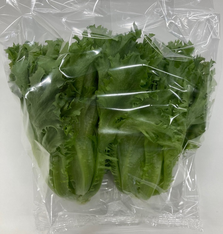 植物工場産個包装レタス