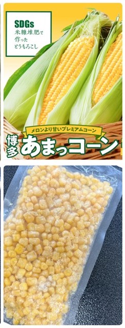 博多あまっコーン 粒コーン