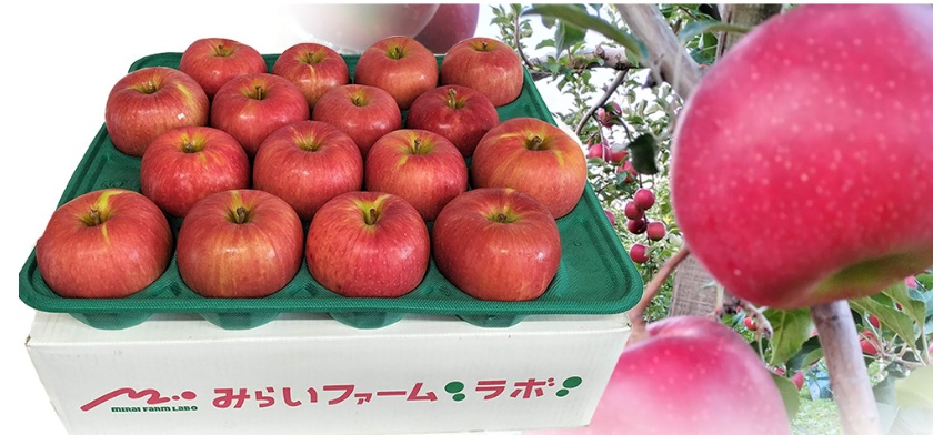 みらいファーム・ラボ　株式会社小栗山農園
