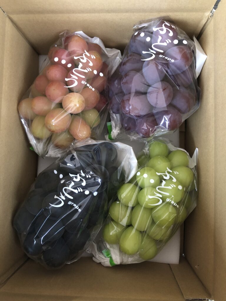 サンシャインレッド
