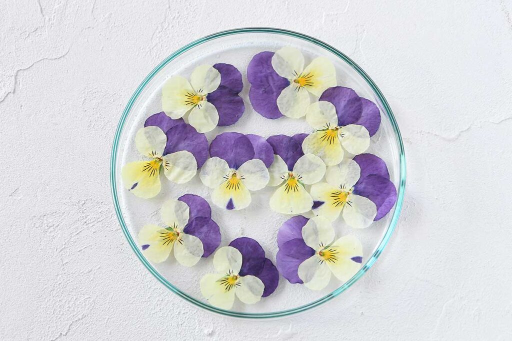 ドライフラワー(押し花)