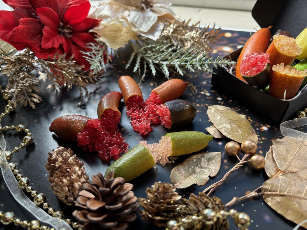 株式会社 シーヴイテック