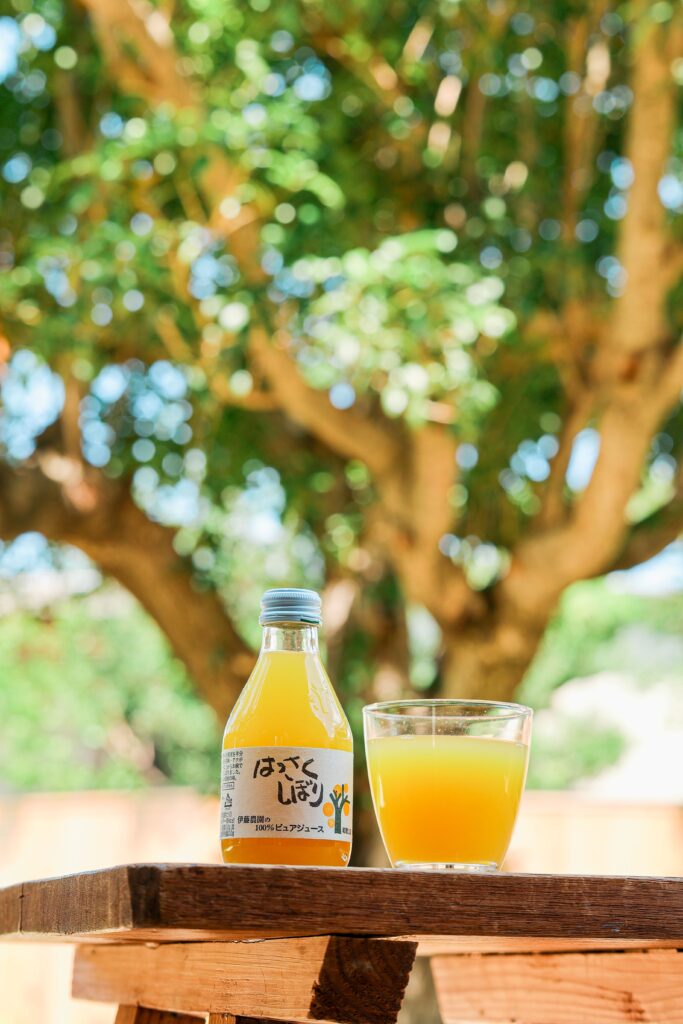 100%ピュアジュースはっさくしぼり