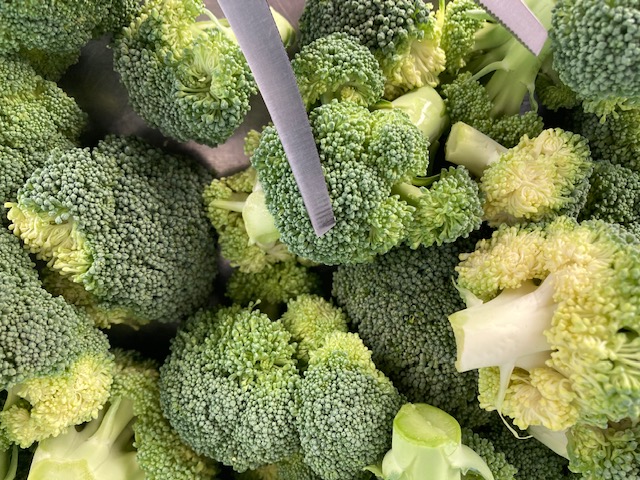 株式会社 大濱屋鈴木農園