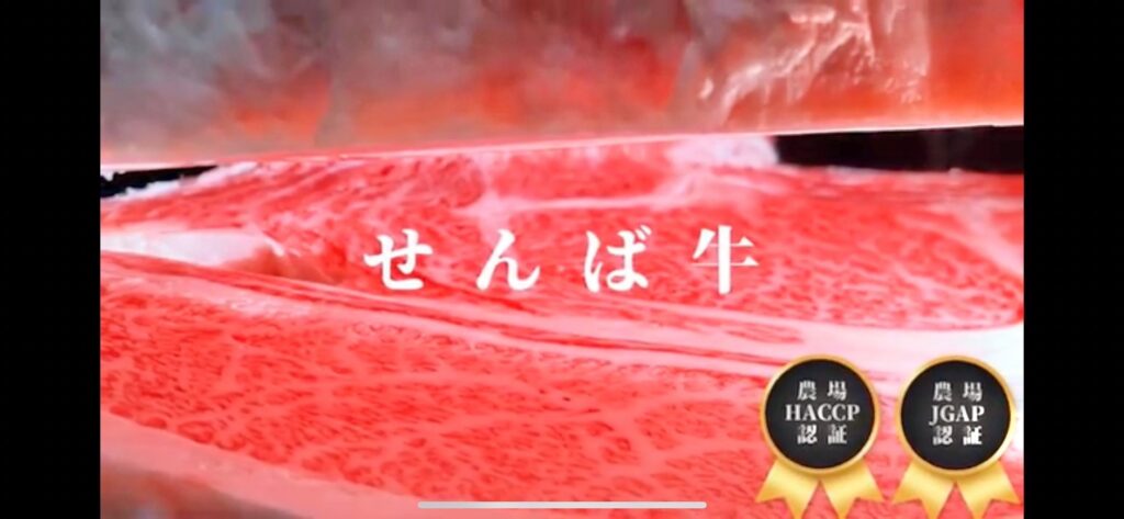 株式会社 マルニトータルサービス