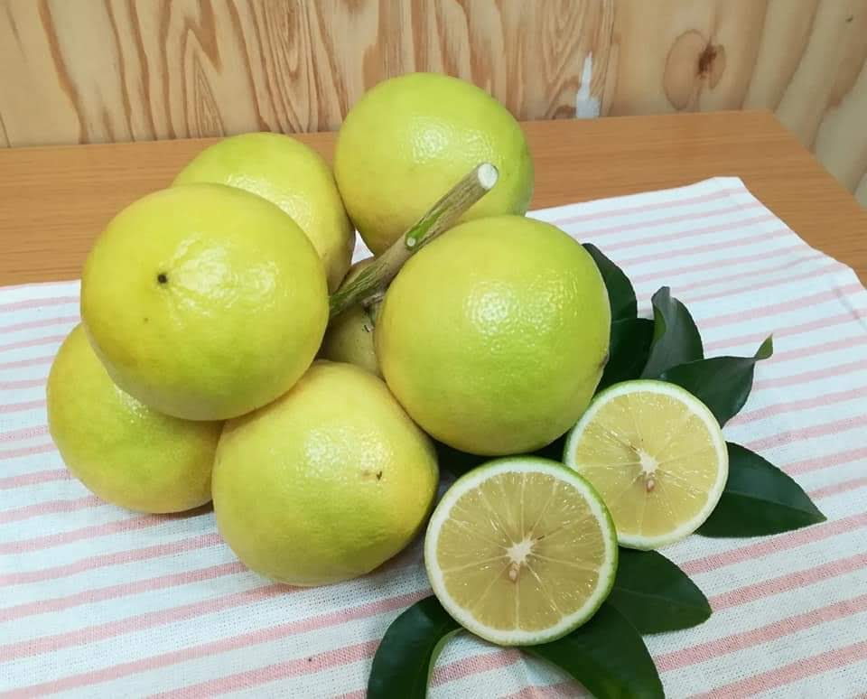 株式会社 萬秀フルーツ