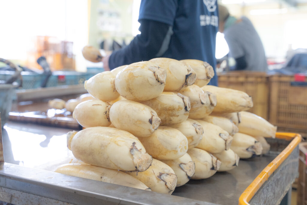 株式会社 カワカミ蓮根