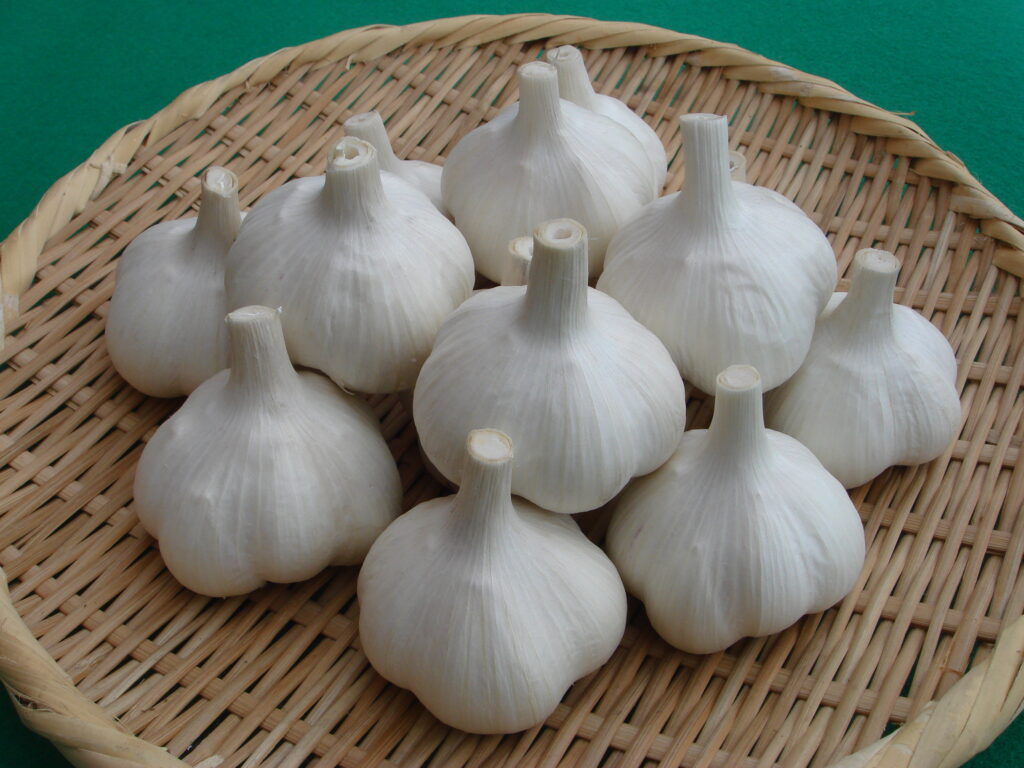 十勝清水町農業協同組合