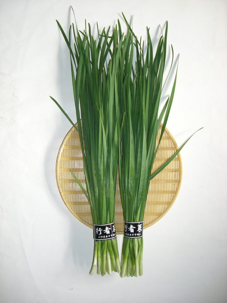 さわのはな倶楽部 合同会社