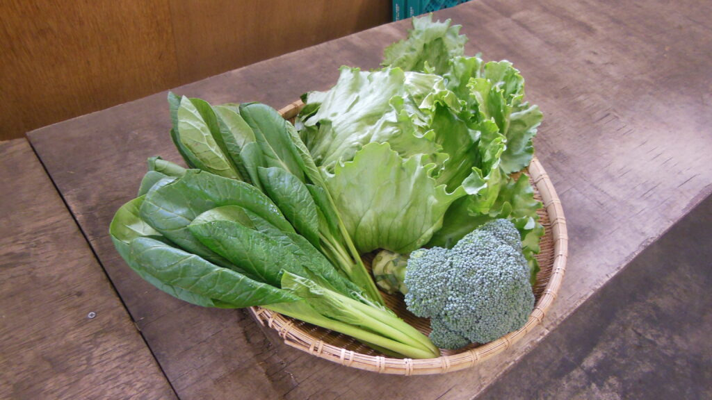 株式会社 野菜くらぶ