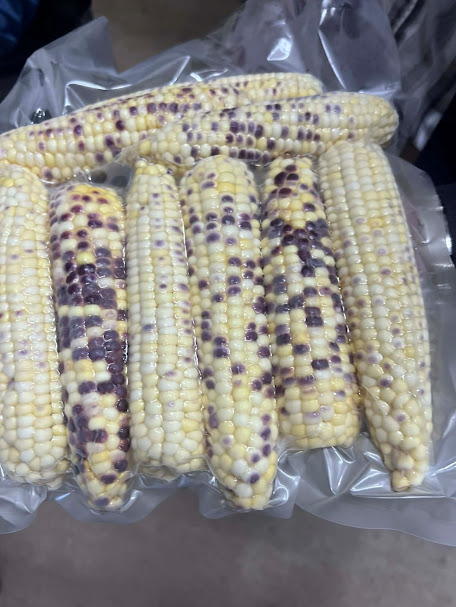 もちとうもろこし（穫れたて冷凍）