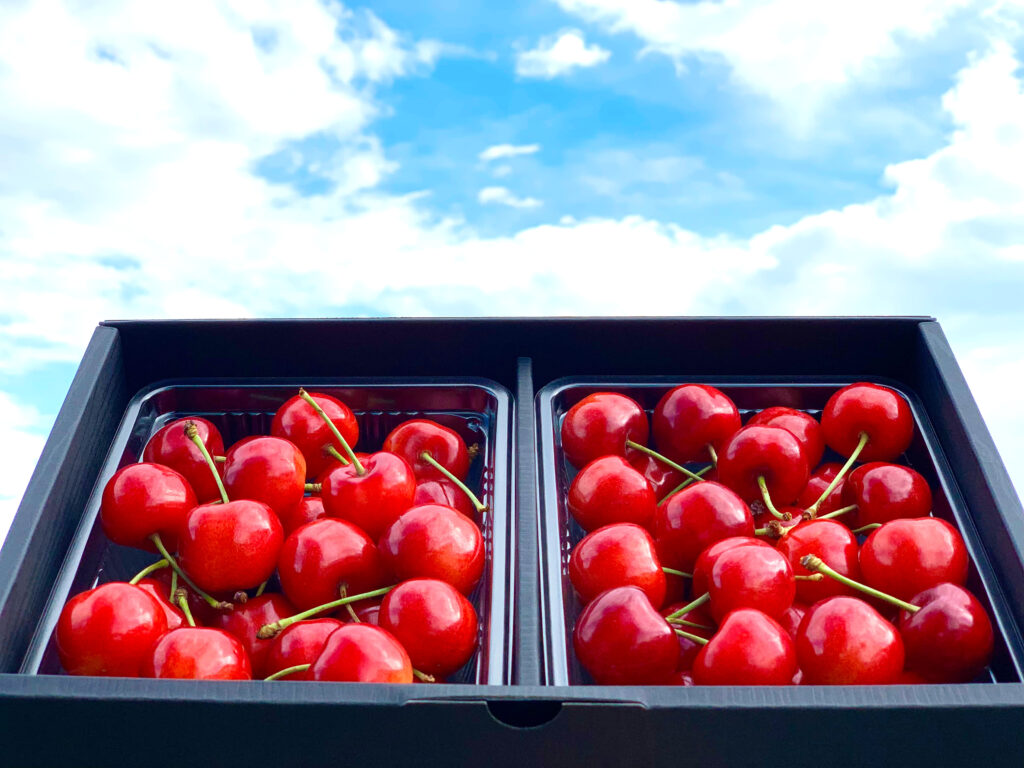 株式会社 アンスリーファーム