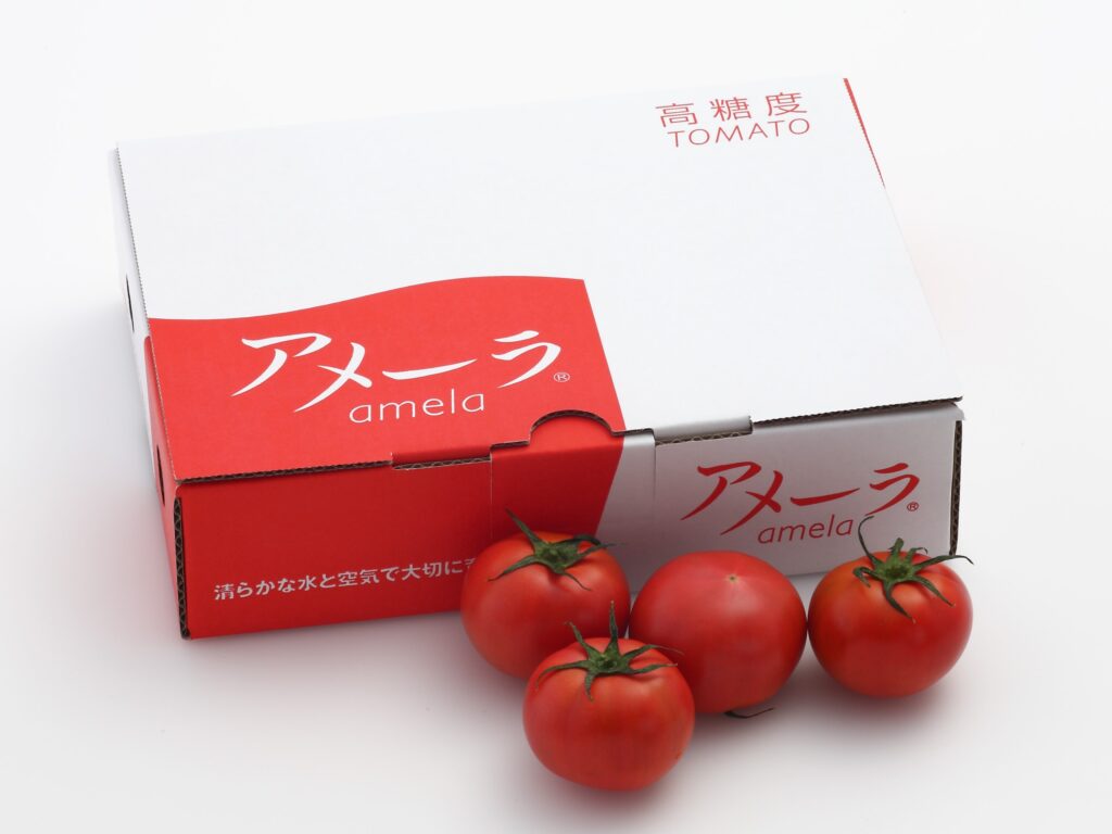 株式会社 サンファーマーズ