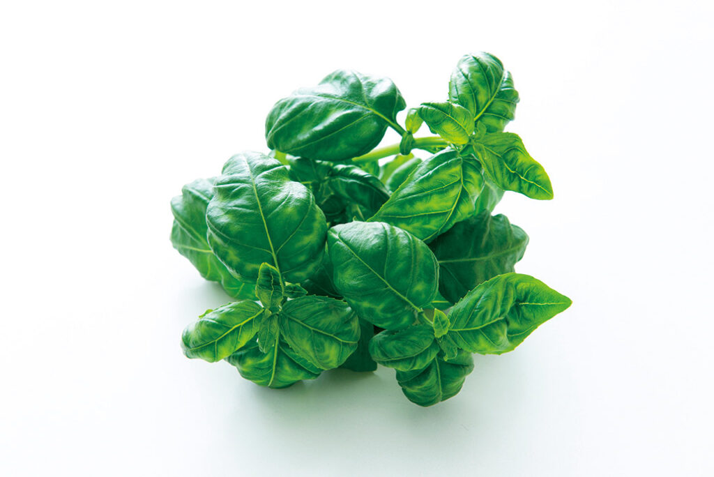 株式会社 愛翔・植物工場のバジルとレタス