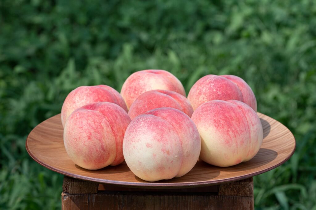 合同会社 つむぎ果樹園