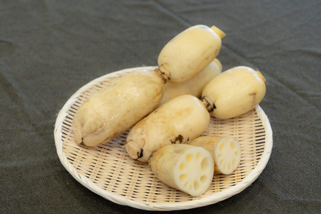 広島県産れんこん『幸祝』
