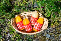 【濃縮還元なし】果汁100％ジュース