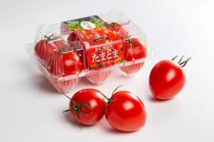 株式会社 ゼブラグリーンズ