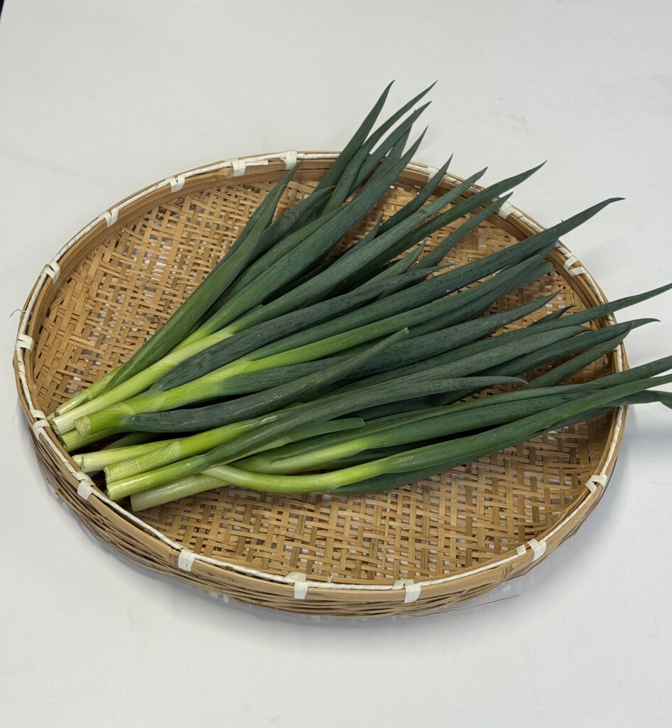 加工用青ねぎ