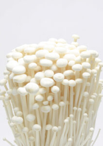 株式会社 アグリカルチャーセンター