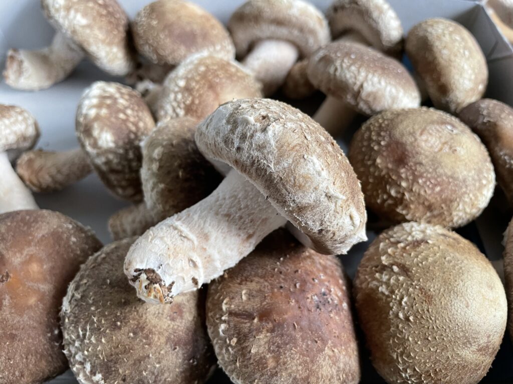 株式会社 ピアソンファーム