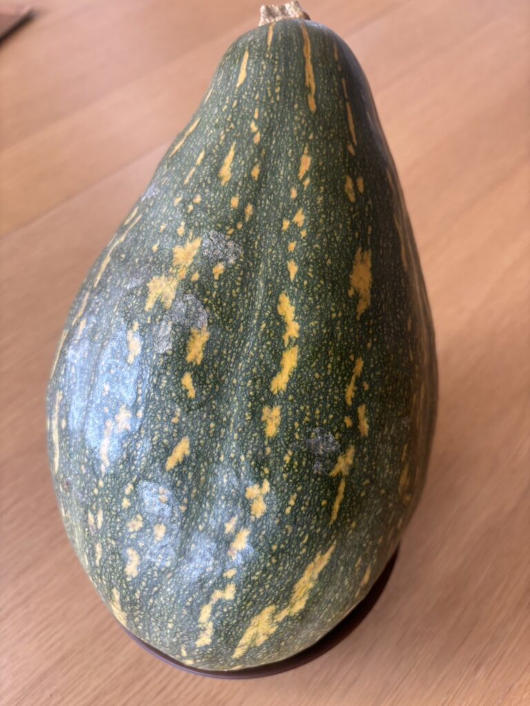 株式会社 OFF THE GRID