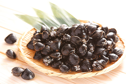 宍道湖産やまとしじみ 冷凍「舞音」