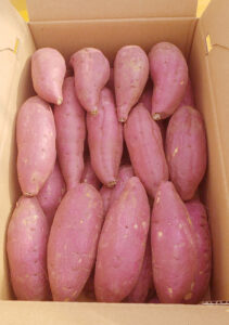 千葉県産シルクスイート