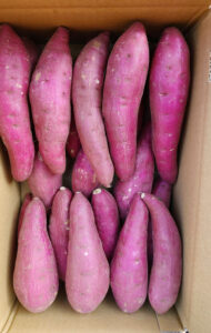 スカイアースファーム 株式会社