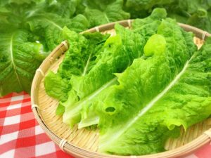 兵神ファーム 兵神機械工業株式会社