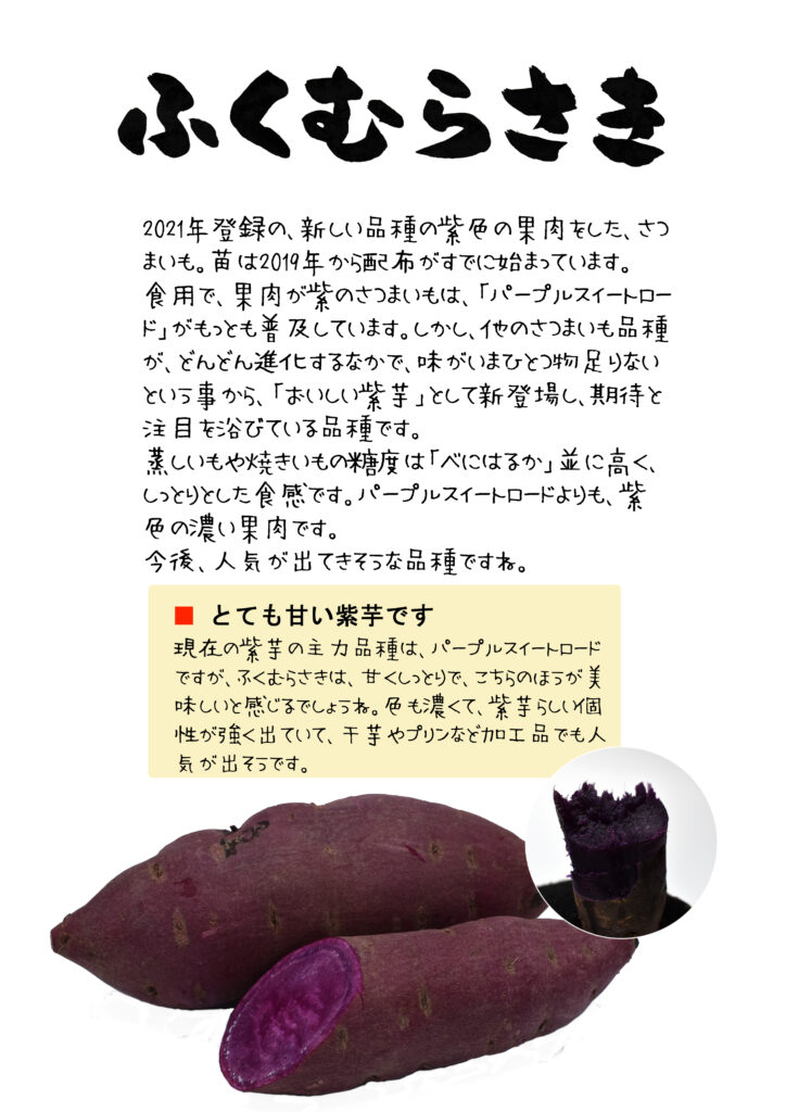 有機福むらさき芋青果