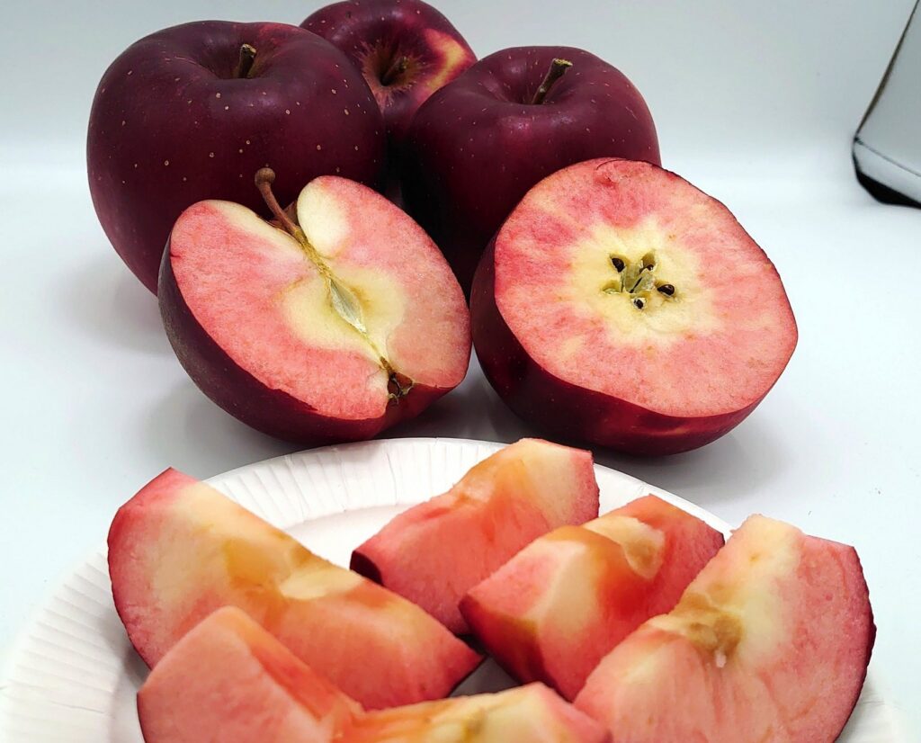 旬の果物