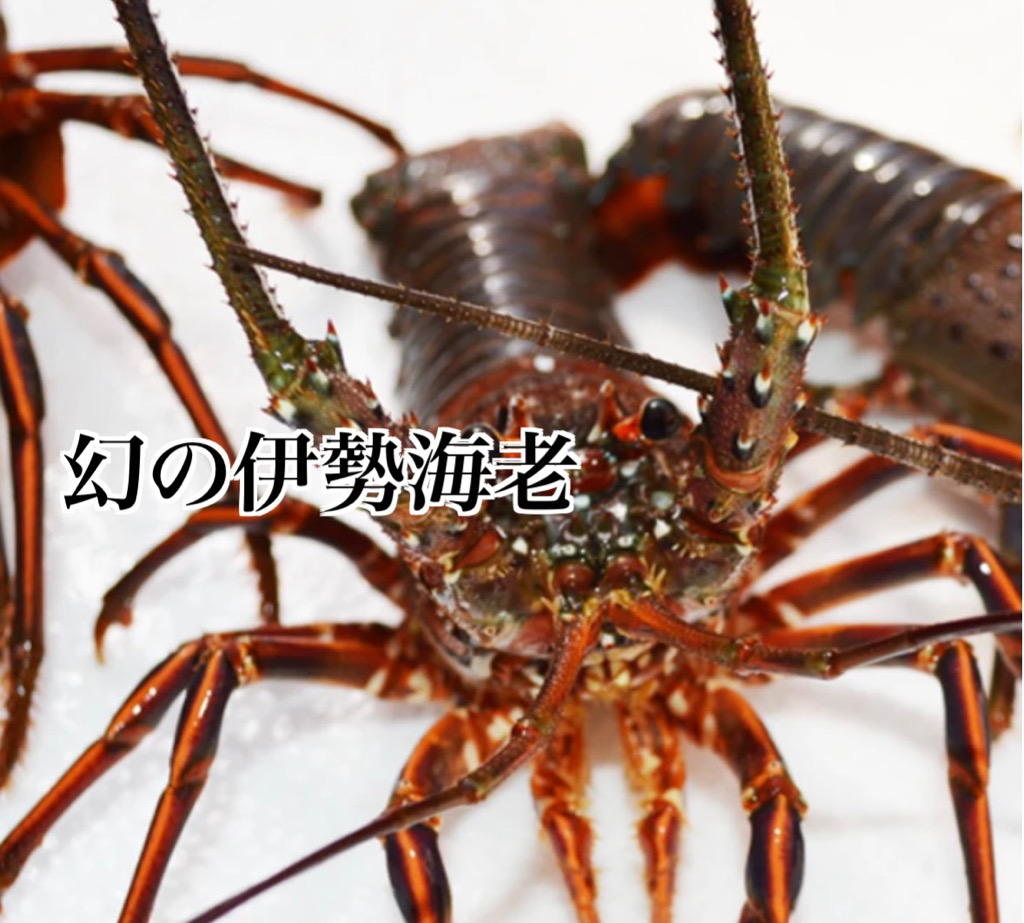 株式会社 幻屋