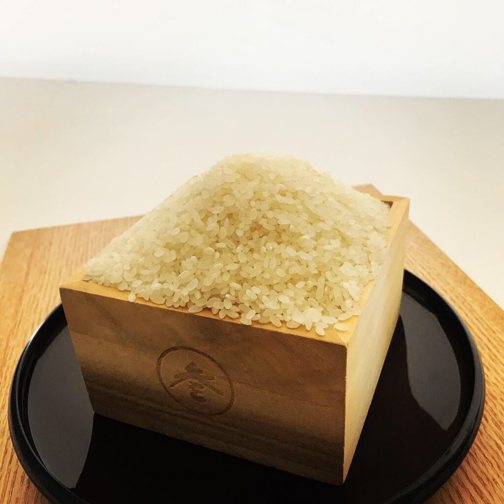 京のヒノヒカリ