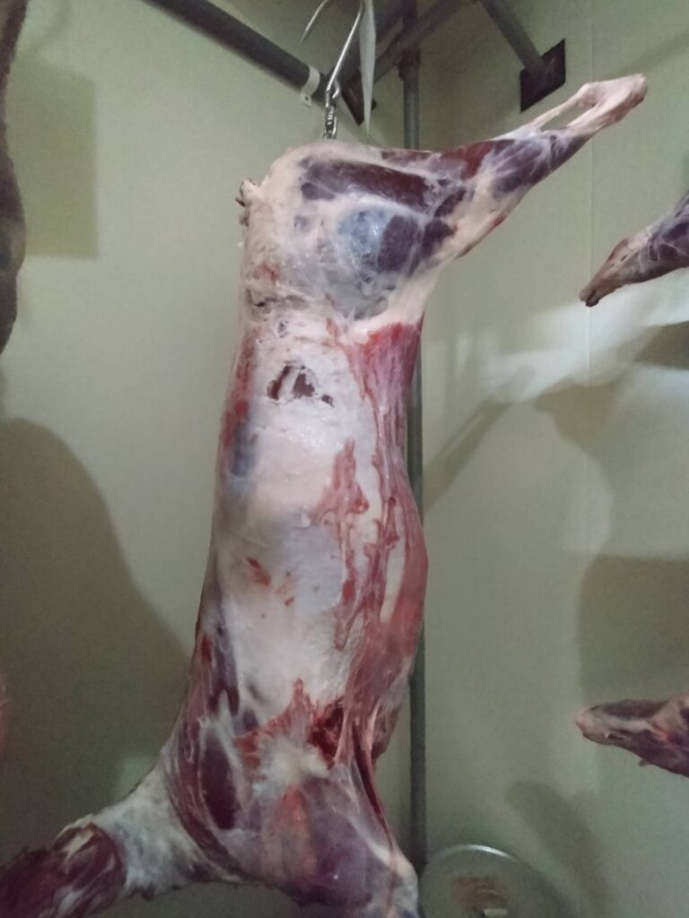 シカ肉
