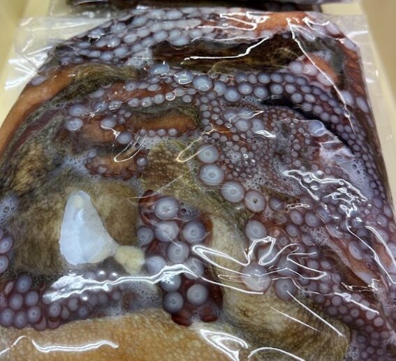 越前岩だこ
