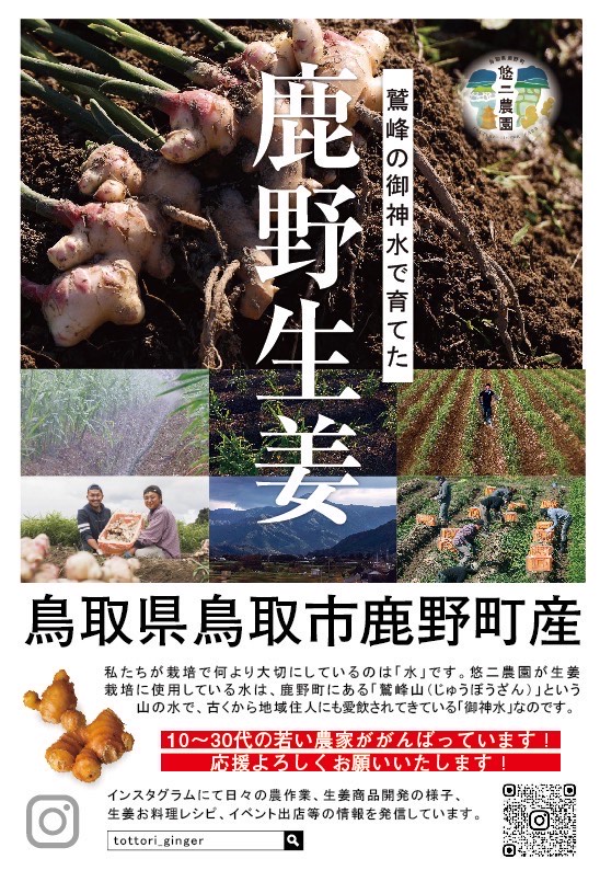 エクルビス 株式会社