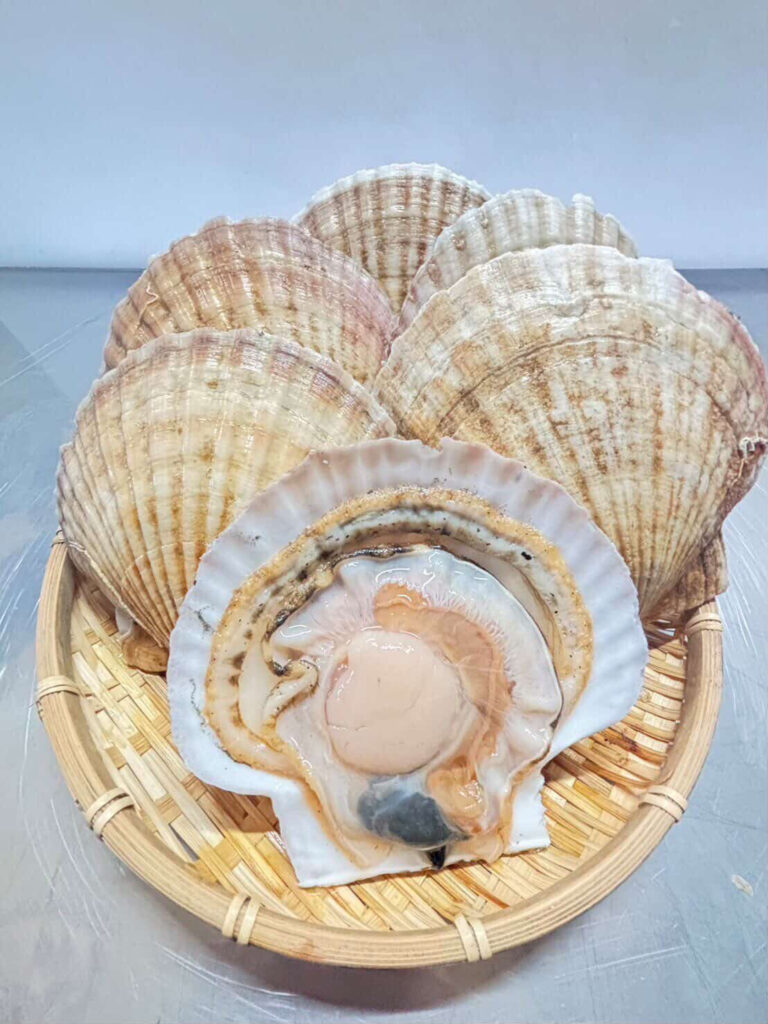 片貝ホタテ