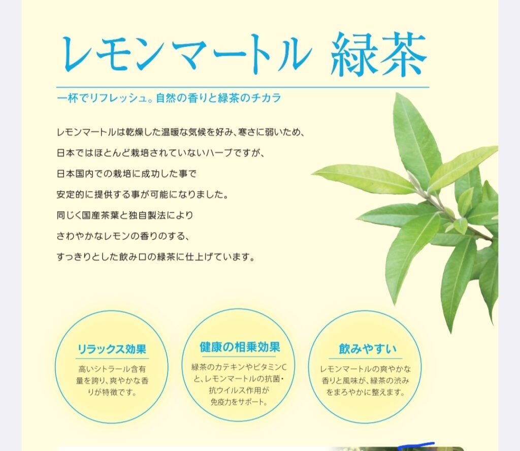 レモンマートル緑茶