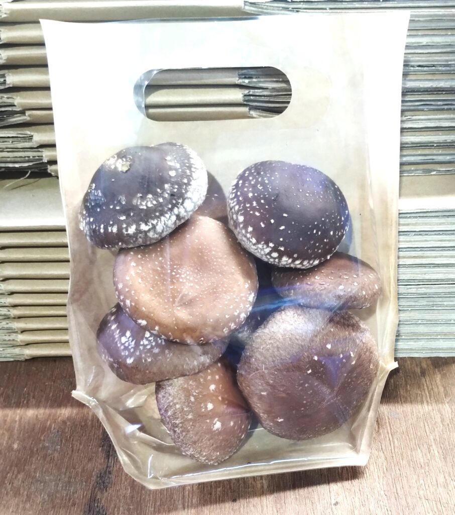 「奥出雲椎茸」肉厚２Ｌ・3Ｌ　袋入り