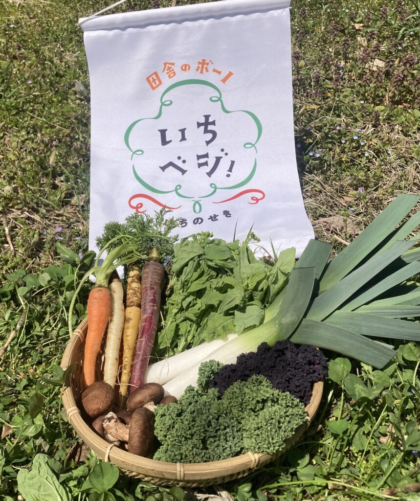 野菜セット