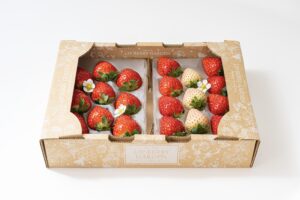 Lip Berry Garden ～幸せいちご園～