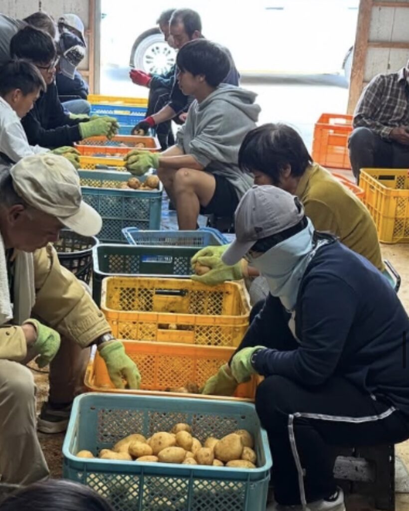 じゃがいも、かぼちゃ、たんかん等